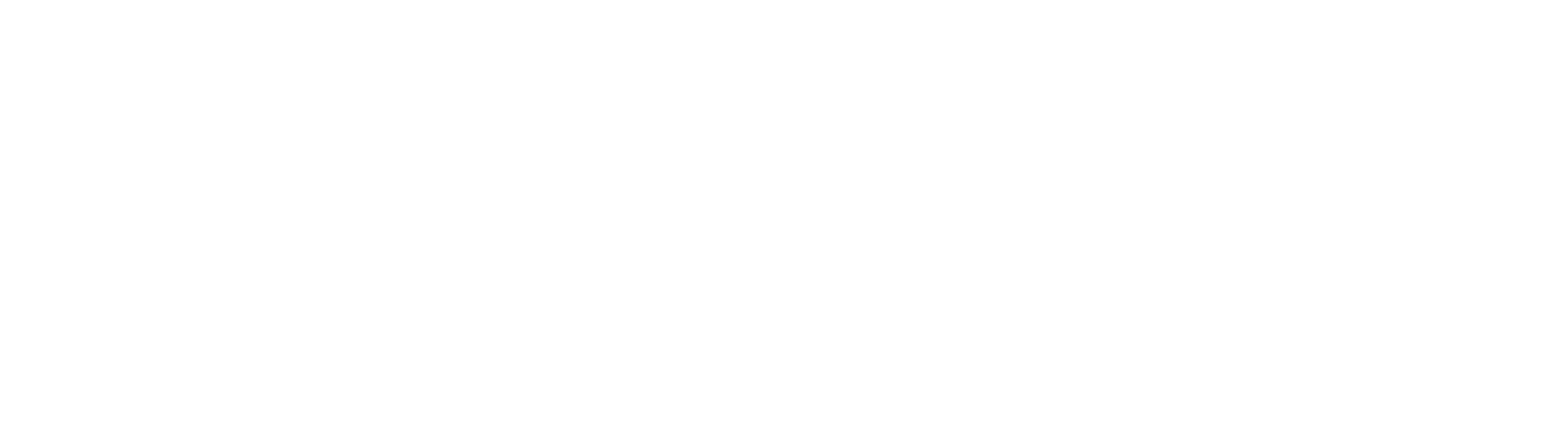 Turkish Airlines